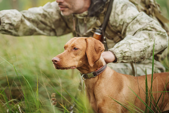 hunter with a dog on the forest