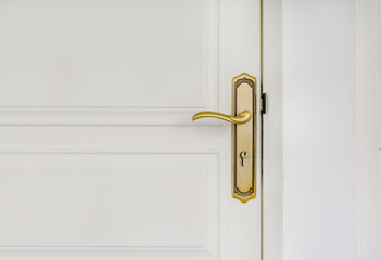 classic golden door handle on white door