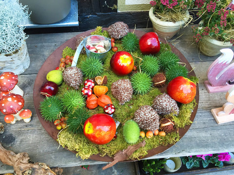 Bunte Herbstdekoration in einer Schale