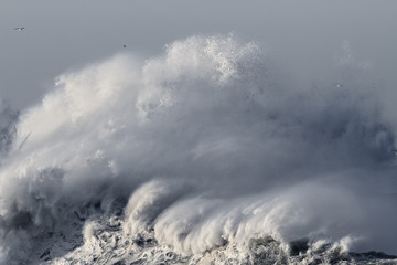 Big breaking sea wave