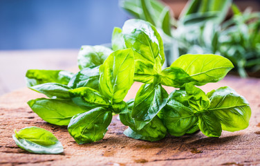 Fresh herbs and basil leaves.