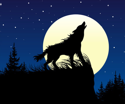 The wolf howling on the full moon at night. Vector illustration