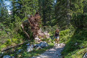 Hiking in the Alps
Woman is hiking a trail through teh Alp mountains