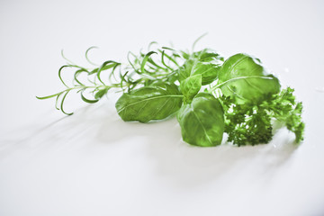Herb with rosemary, basil & parsley