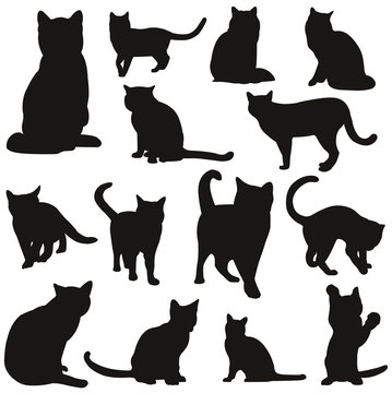 5 Best Silhouette Chat Images Stock Photos Vectors Adobe Stock