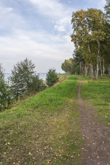 Small Road Into The Woods