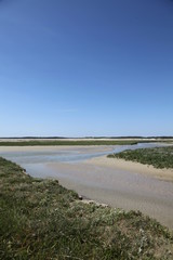Réserve naturelle du Marquenterre.