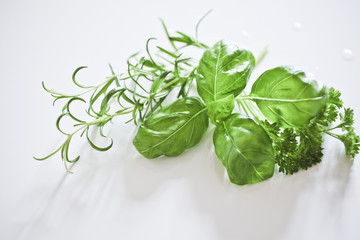 Herb with rosemary, basil & parsley