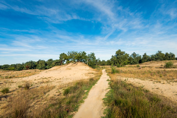 Fototapeta na wymiar Narrow sandy path in a large nature reserve