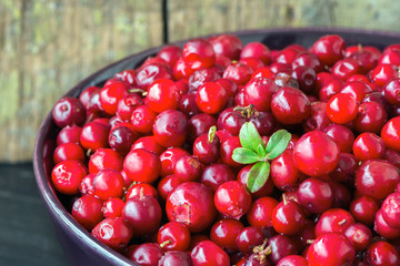 Cranberrys Nahaufnahme