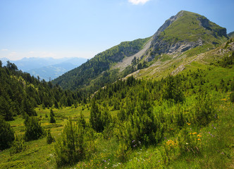 Obraz premium Serene View of Landscape in Visitor Mountains (Bandera peak), Montenegr