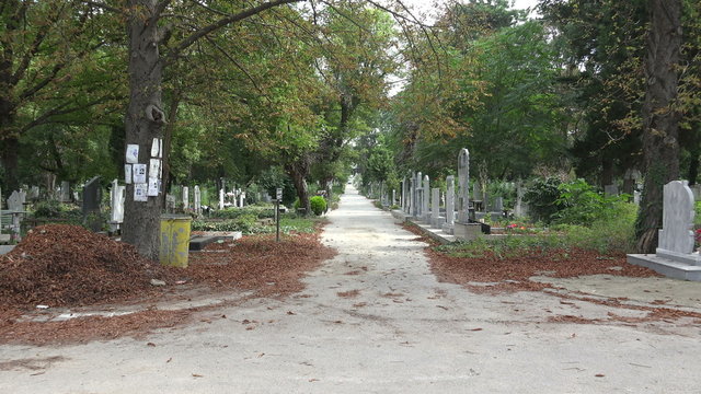 Ancient cemetery in Varna. Bulgaria. 4K.