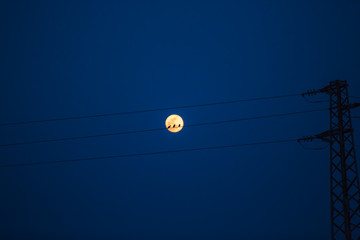 Birds on a power line, profiled against sky and rising full moon