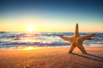 Fototapeta na wymiar Starfish on the beach at sunrise