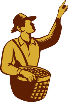 Fruit Picker Worker Pointing Woodcut