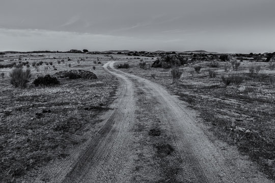 Landscape with a rural road.