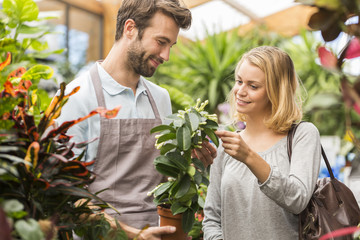 Male florist serving woman beside display in flower shop, holdin