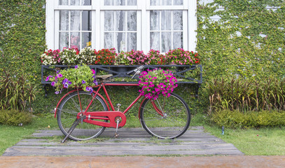 Fototapeta na wymiar redbicycle pot flower decor outdoor garden
