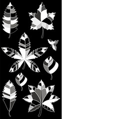 black and white contrast image on the black side of the leaves in the style of patchwork, white side for your text
