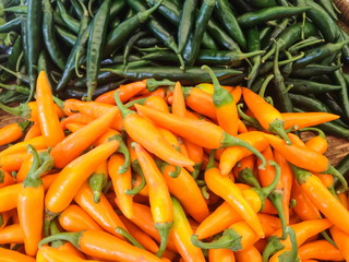 Yellow and Green Chillies
