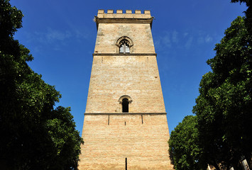 Obraz premium Tower of Don Fadrique, Seville, Andalusia, Spain