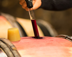prélèvement de vin du tonneau