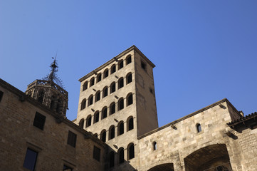 Fototapeta na wymiar Royal Palace in Plaça del Rei, Barcelona,Spain