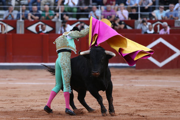 Toro y torero