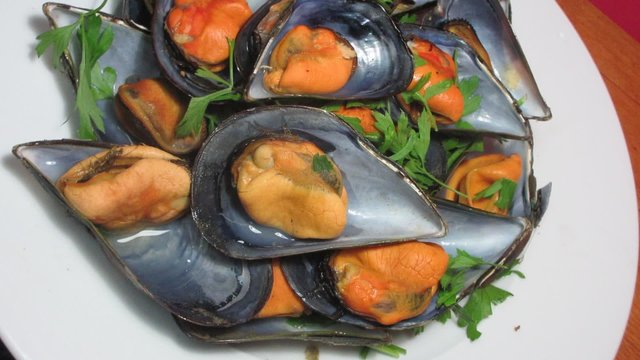 Mussels with parsley on white plate