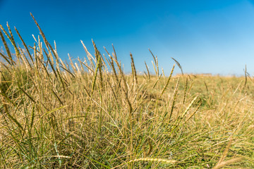 Landschaft der Nordsee