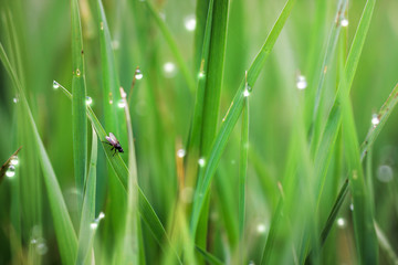 Colourful abstract photo, excellent for backgrounds and cards.