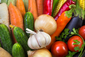The composition of vegetables isolated on a white background
