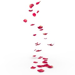 Rose petals fall to the floor