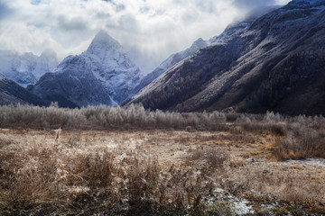 The first frost in the mountains.