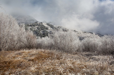 The first frost in the mountains.