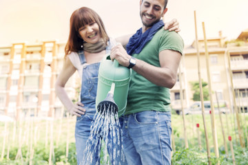 Naklejka premium beautiful engaged couple watering plants in the garden