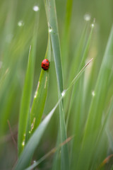 Colourful abstract photo, excellent for backgrounds and cards.