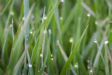 Colorful abstract photo, excellent for backgrounds and cards.