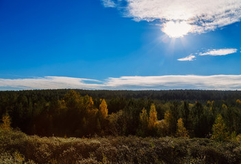 treetops autumn sun in clouds