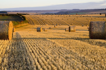 Straw Bales on the East Yorkshire Wolds at dawn © richard_pinder