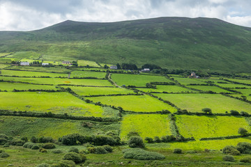 アイルランドの典型的な風景 Scene Ring of Kelly in Ireland