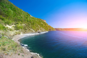 Fototapeta premium river bank with trees and bushes