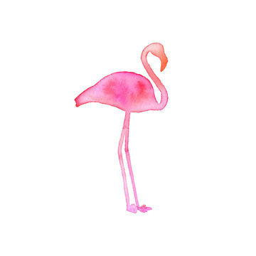 Flamingo. Hand-drawn silhouette of bird. Real watercolor drawing