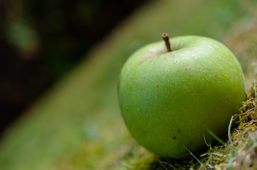 Herbstlicher Apfel grün