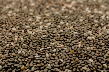 Chia Samen