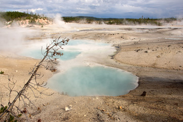 Yellowstone Nationalpark, Utah, USA