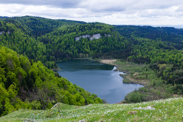 Fototapeta na wymiar Lac entouré de forêts