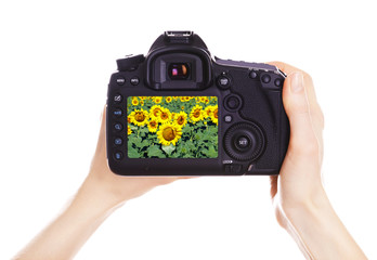 Photographer with camera at work, isolated on white