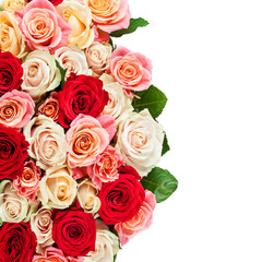 Bright multicolored bouquet of roses. Natural  flowers backgroun
