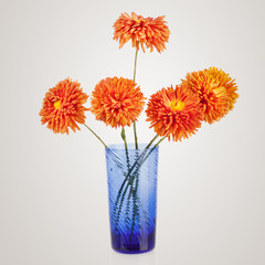 Beautiful bouquet of aster flowers in blue vase